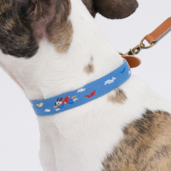 Adventure Collar Sky