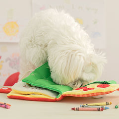 My Lunchbox Book Nosework Dog Toy