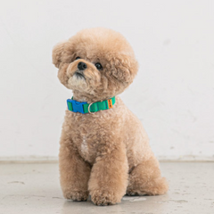 Candy Crayon Collar - Green