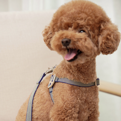 HOWLGO Adjustable Harness Blue