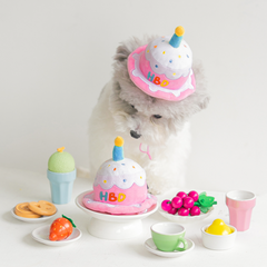 Happy Birthday Cake Hat Dog Toy
