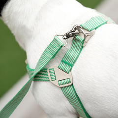 HOWLGO Adjustable Harness Green