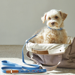 Adventure Collar Sky