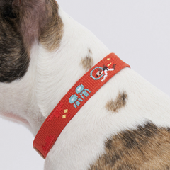 Adventure Collar Mars