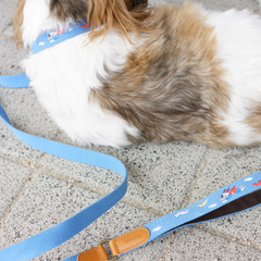 Adventure Leash Sky