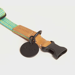 We Are Tight Ribbon Collar Palm Tree