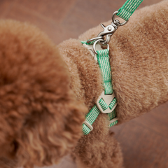 HOWLGO Adjustable Harness Green