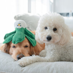 Vegetable Nosework Dog Toy - Bok Choy