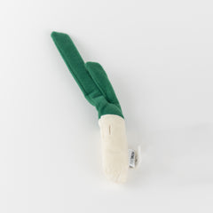 Green Onion Dog Toy