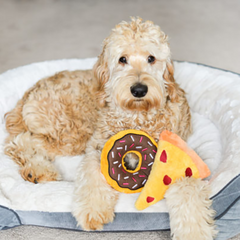 Donutz Dog Toy - Chocolate