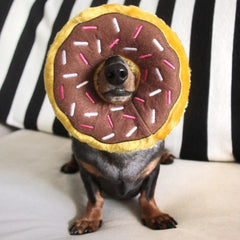 Donutz Dog Toy - Chocolate