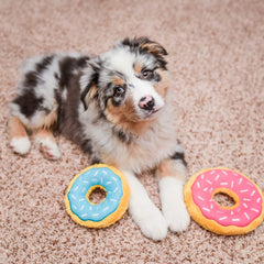 Donutz Dog Toy - Blueberry