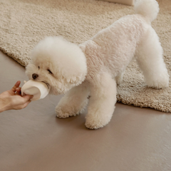 Paper Cup Nosework Dog Toy Smile