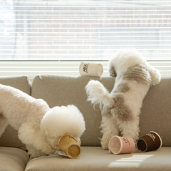 Paper Cup Nosework Dog Toy Smile