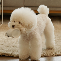 Paper Cup Nosework Dog Toy Smile