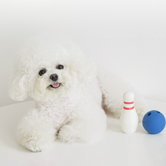 Latex Bowling Dog Toy Set (1 Pin + 1 Ball)