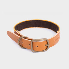 Adventure Collar Sahara