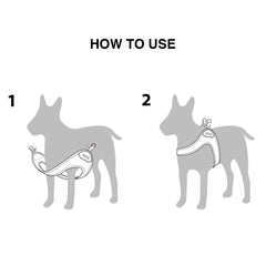 Buckle-Up Easy Harness Gray