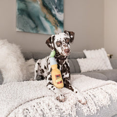 Tropical Paradise Dog Toy - Canine Cerveza