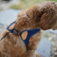 Adjustable Easy Harness Navy