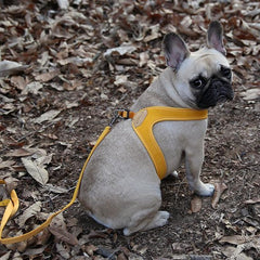 Buckle-Up Easy Harness Yellow