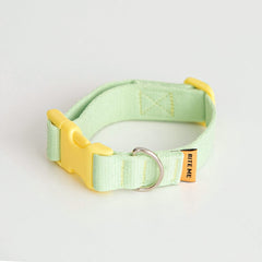 Candy Crayon Collar - Light Green