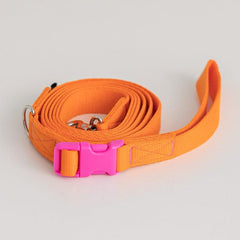 Candy Crayon Leash - Orange