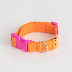 Candy Crayon Collar - Orange