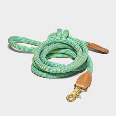 We Are Tight Leash Palm Tree