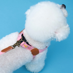 Adventure Harness Budapest