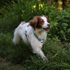 Trip Harness Green