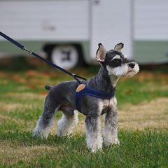 Adjustable Easy Harness Navy