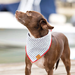 Charcoal Stripe Dog Bandana
