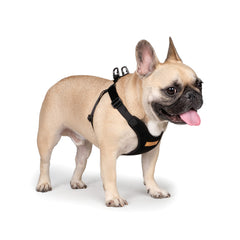 Comfort Harness Black