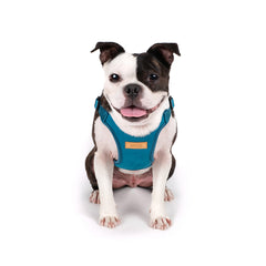 Comfort Harness Blue