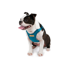 Comfort Harness Blue