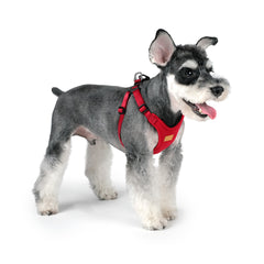 Comfort Harness Red