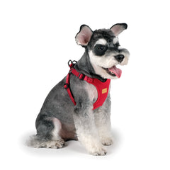 Comfort Harness Red