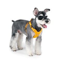 Comfort Harness Yellow