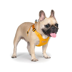 Comfort Harness Yellow