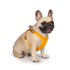 Comfort Harness Yellow