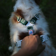 Trip Harness Green