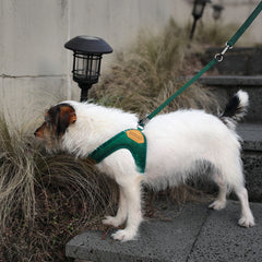 Adjustable Easy Harness Green