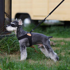 Adjustable Easy Harness Black