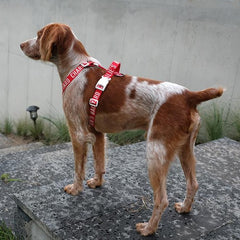 Trip Harness Red