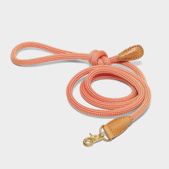 We Are Tight Leash Cherry Twizzle