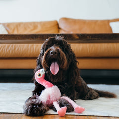 Fetching Flock Dog Toy - Flora the Flamingo