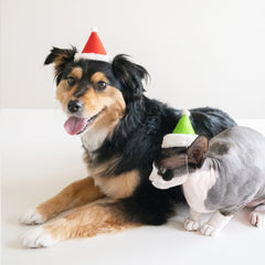 Holiday Dog Hat Elf