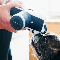 Globetrotter Dog Toy - Lens Licker Camera