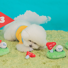 Golf Nosework Dog Toy
